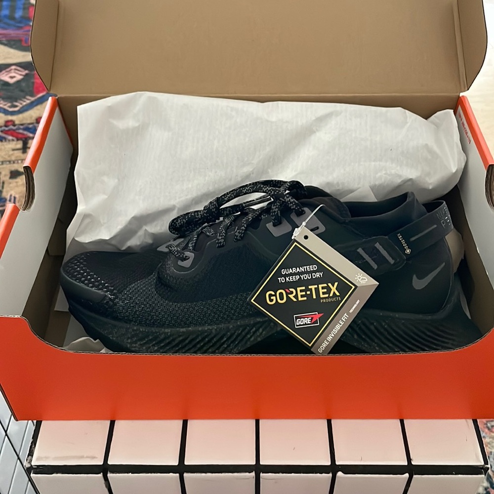 NIB Nike pegasus trail runners